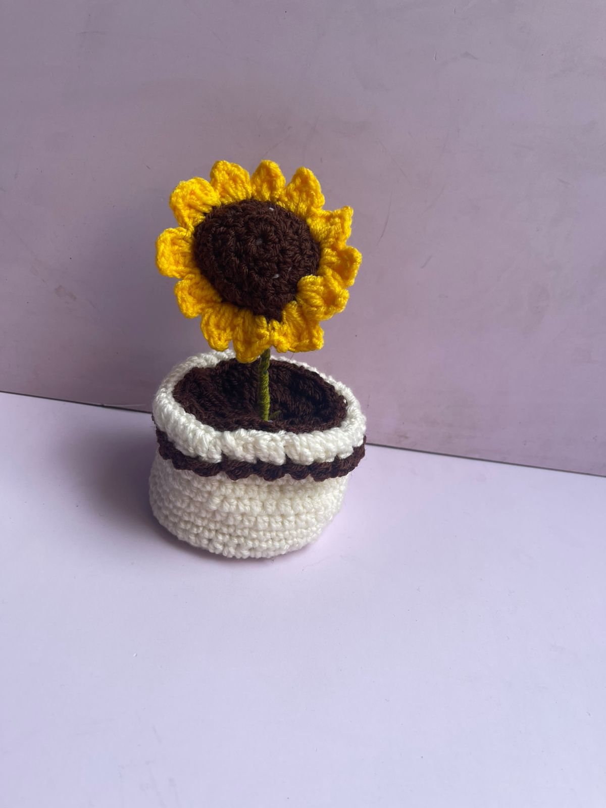 Crochet Pot